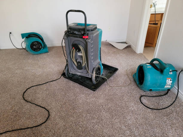 Best Flood damage cleanup  in Cincinnati, OH