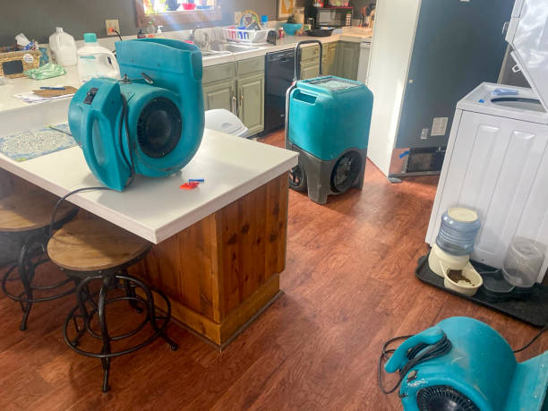 Best Residential water damage restoration  in Cincinnati, OH
