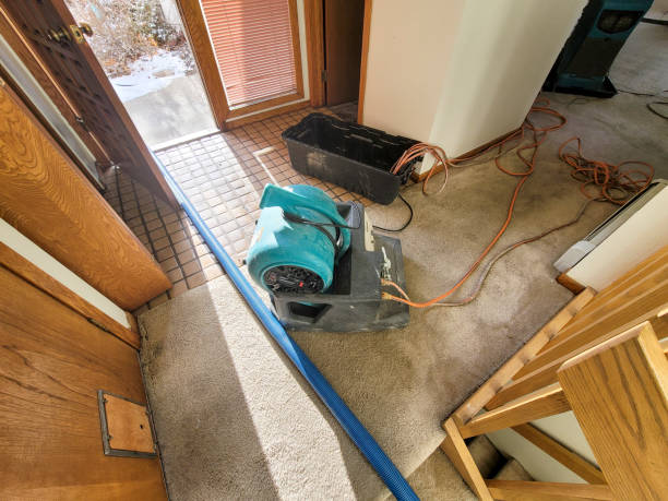 Trusted Cincinnati, OH Water damage restoration Experts