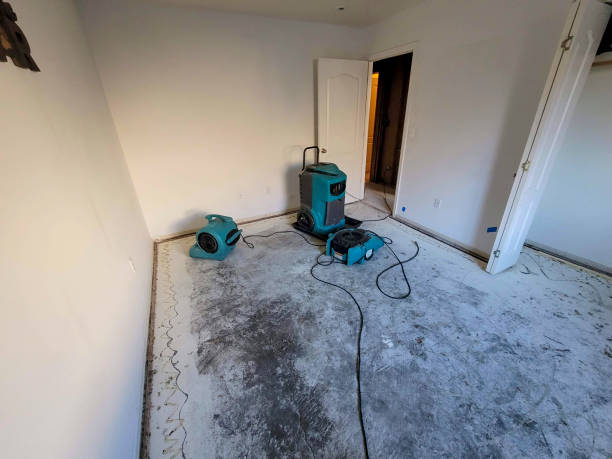 Best Professional water damage repair  in Cincinnati, OH