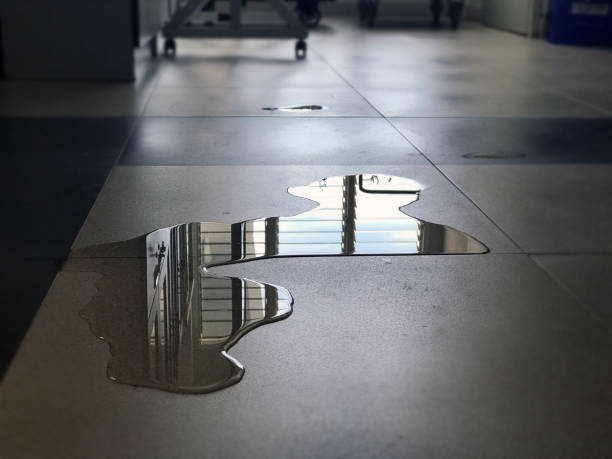 Best 24-hour water damage restoration  in Cincinnati, OH