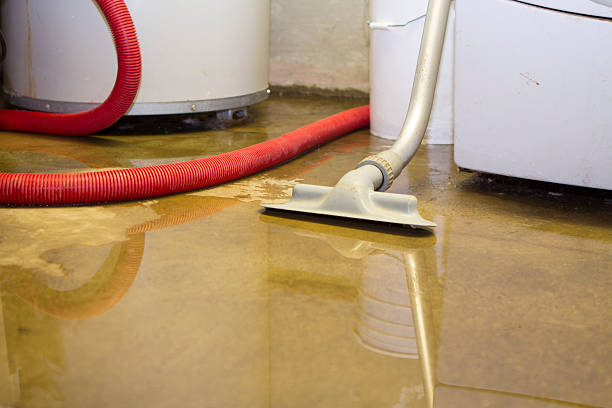Best Ceiling water damage repair  in Cincinnati, OH