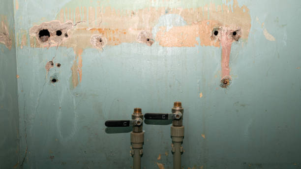 Best Basement water damage restoration  in Cincinnati, OH