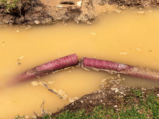 Best Water damage restoration near me  in Cincinnati, OH