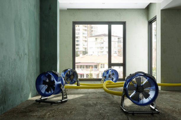 Best Water damage restoration services  in Cincinnati, OH