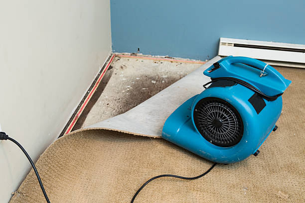 Local water damage restoration in Cincinnati, OH